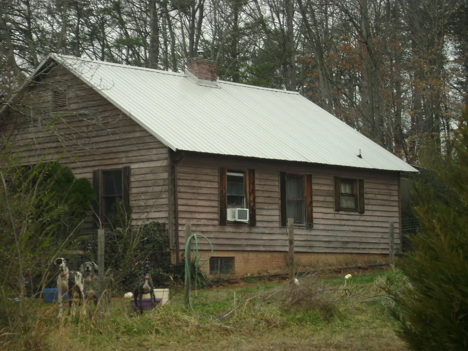 White metal roof on an old wood sided farmhouse, from a Asphalt Shingle Roof Repair job in Willis